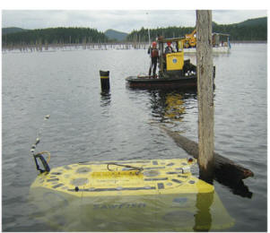 Underwater Logging